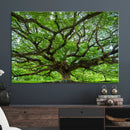 Oak Tree Wall Art Print, Forest Canvas Wall Art for Home and