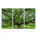 Oak Tree Wall Art Print, Forest Canvas Wall Art for Home and