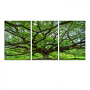 Oak Tree Wall Art Print, Forest Canvas Wall Art for Home and