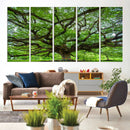 Oak Tree Wall Art Print, Forest Canvas Wall Art for Home and