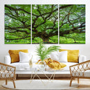 Oak Tree Wall Art Print, Forest Canvas Wall Art for Home and