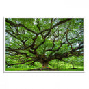 Oak Tree Wall Art Print, Forest Canvas Wall Art for Home and