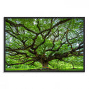 Oak Tree Wall Art Print, Forest Canvas Wall Art for Home and