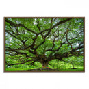 Oak Tree Wall Art Print, Forest Canvas Wall Art for Home and