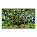 Oak Tree Wall Art Print, Forest Canvas Wall Art for Home and