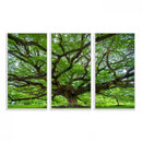 Oak Tree Wall Art Print, Forest Canvas Wall Art for Home and