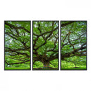 Oak Tree Wall Art Print, Forest Canvas Wall Art for Home and