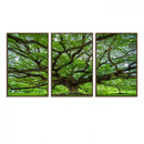 Oak Tree Wall Art Print, Forest Canvas Wall Art for Home and