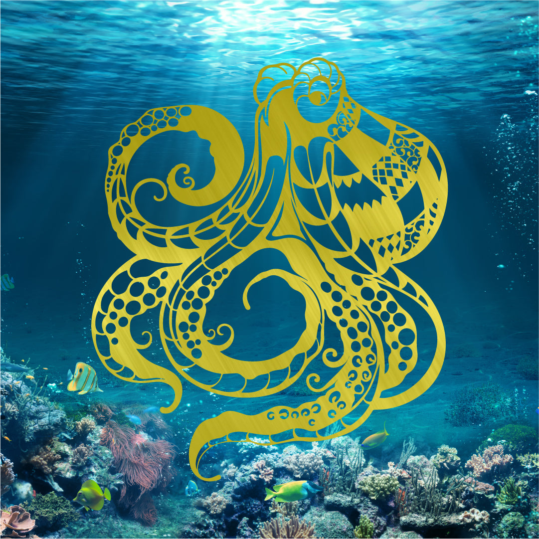 Octopus v2, photo 2 of 7