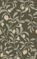 Olive Tree Wallpaper - Mediterranean Chic Style