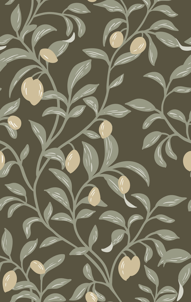 Olive Tree Wallpaper - Mediterranean Chic Style