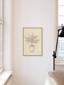 Olive Tree Sketch