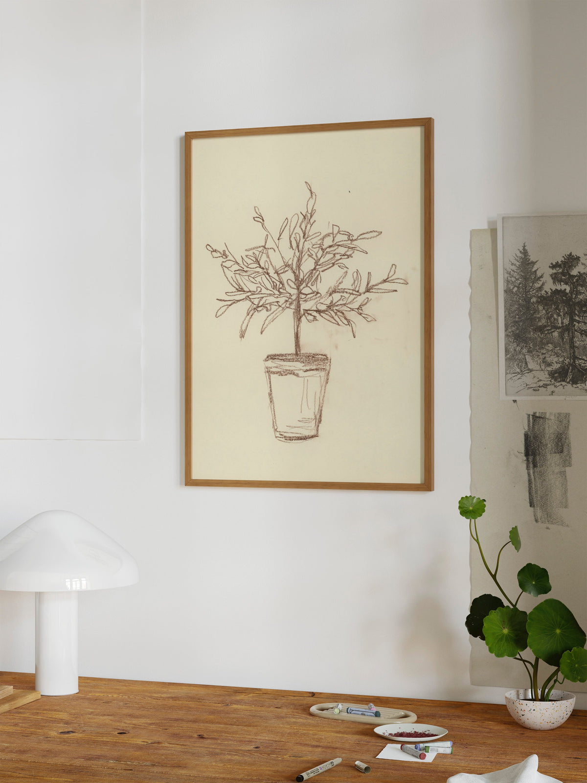 Olive Tree Sketch, photo 12 of 12