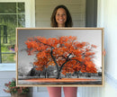 Orange Autumn Tree Wall Art Canvas Print – Framed Vibrant