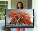 Orange Autumn Tree Wall Art Canvas Print – Framed Vibrant
