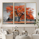 Orange Autumn Tree Wall Art Canvas Print – Framed Vibrant
