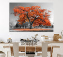 Orange Autumn Tree Wall Art Canvas Print – Framed Vibrant