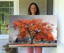 Orange Autumn Tree Wall Art Canvas Print – Framed Vibrant