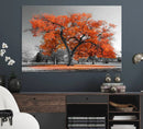 Orange Autumn Tree Wall Art Canvas Print – Framed Vibrant