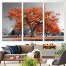 Orange Autumn Tree Wall Art Canvas Print – Framed Vibrant