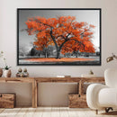 Orange Autumn Tree Wall Art Canvas Print – Framed Vibrant by MyGreatCanvas | Canvas Wall Art Prints | Photo Prints & Wall Decor