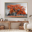 Orange Autumn Tree Wall Art Canvas Print – Framed Vibrant