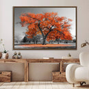 Orange Autumn Tree Wall Art Canvas Print – Framed Vibrant