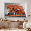Orange Autumn Tree Wall Art Canvas Print – Framed Vibrant