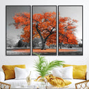 Orange Autumn Tree Wall Art Canvas Print – Framed Vibrant