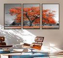 Orange Autumn Tree Wall Art Canvas Print – Framed Vibrant
