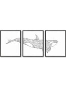 Minimal orca panel