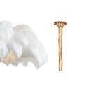 Ostrich Feather Chandeliers