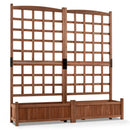 Dual Raised Garden Bed with Trellis and Drainage Holes by LJGDeals