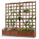 Dual Raised Garden Bed with Trellis and Drainage Holes by LJGDeals