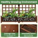 Dual Raised Garden Bed with Trellis and Drainage Holes by LJGDeals