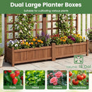 Dual Raised Garden Bed with Trellis and Drainage Holes by DirectDeals