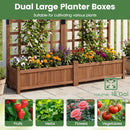 Dual Raised Garden Bed with Trellis and Drainage Holes by LJGDeals