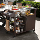 Outdoor Grill Cart with Storage Cabinet Shelves and Stainless Steel Top-Brown by LJGDeals