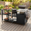 Outdoor Grill Cart with Stainless Steel Tabletop & Cabinet by LJGDeals