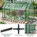 Portable Mini Greenhouse with PE Cover and Zippered Door by LJGDeals