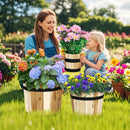 Outdoor Wooden Planter Box with Drainage Holes Set of 3 by LJGDeals
