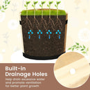 Outdoor Wooden Planter Box with Drainage Holes Set of 3 by LJGDeals