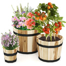 Outdoor Wooden Planter Box with Drainage Holes Set of 3 by LJGDeals