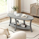 Oval Coffee Table 2-Tier Center Table with Storage Shelf-Gray by LJGDeals