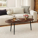 Oval Coffee Table Mid Century Center Table with Sturdy Metal Construction by LJGDeals