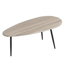 Oval Coffee Table Mid Century Center Table with Sturdy Metal Construction by LJGDeals