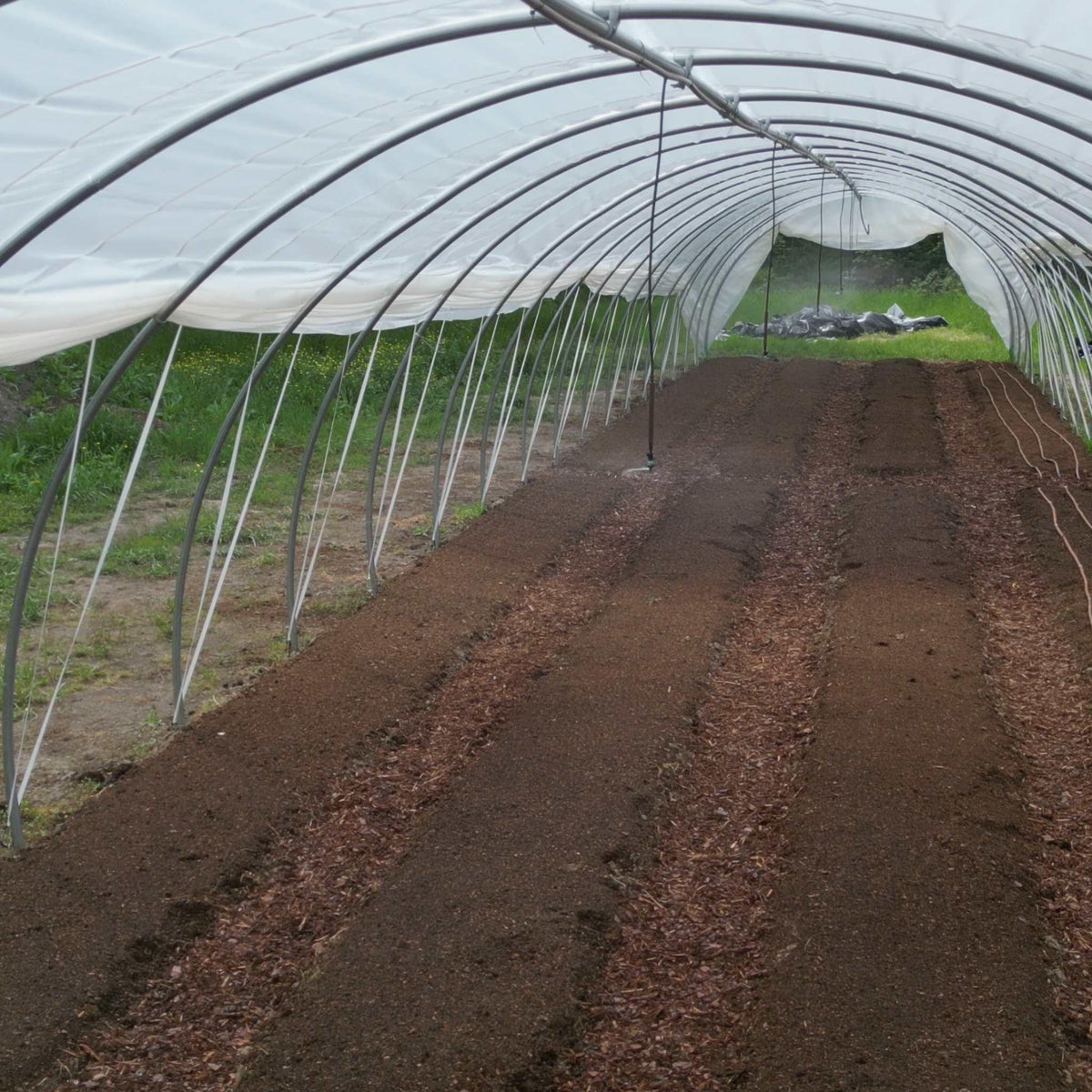 Bootstrap Farmer Overhead Irrigation Kit, photo 5 of 6