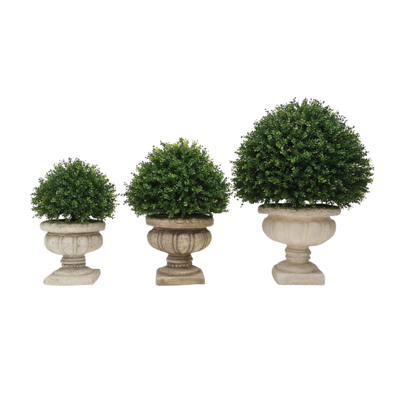 Lifelike Boxwood Sphere