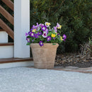 Lifelike Petunia Urn Filler