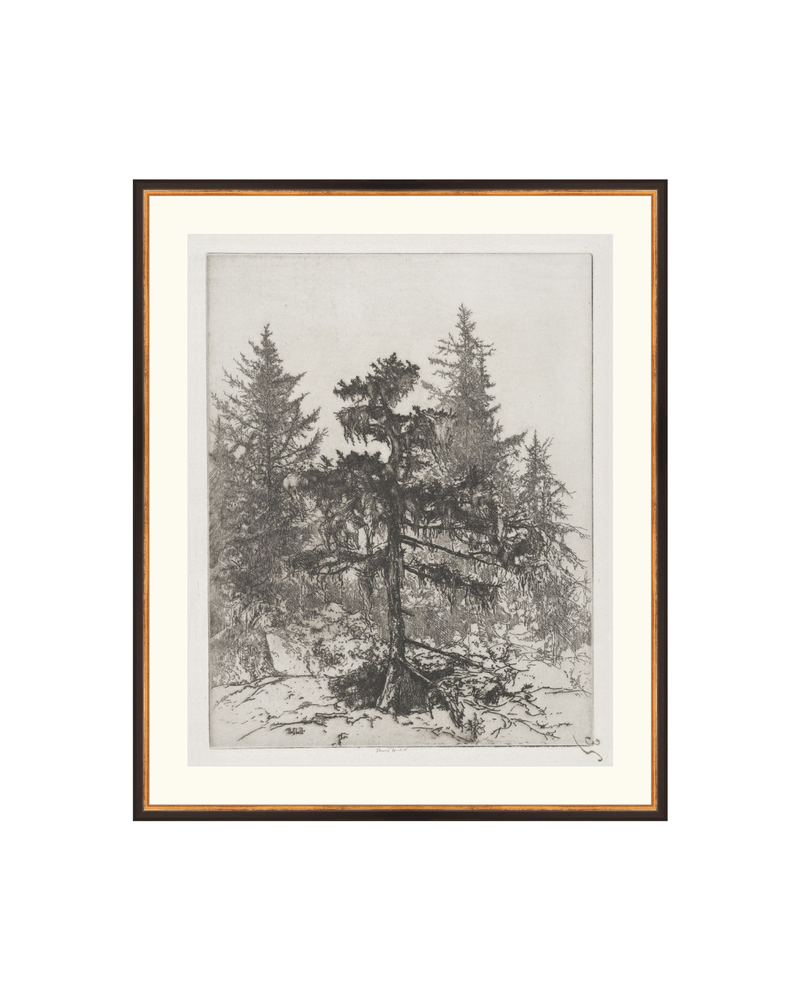 Pine Etching